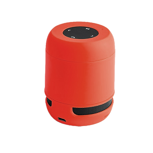 Altavoz Braiss