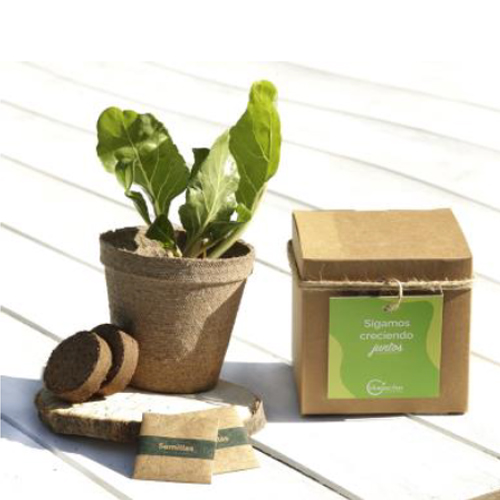 ECO KIT 01