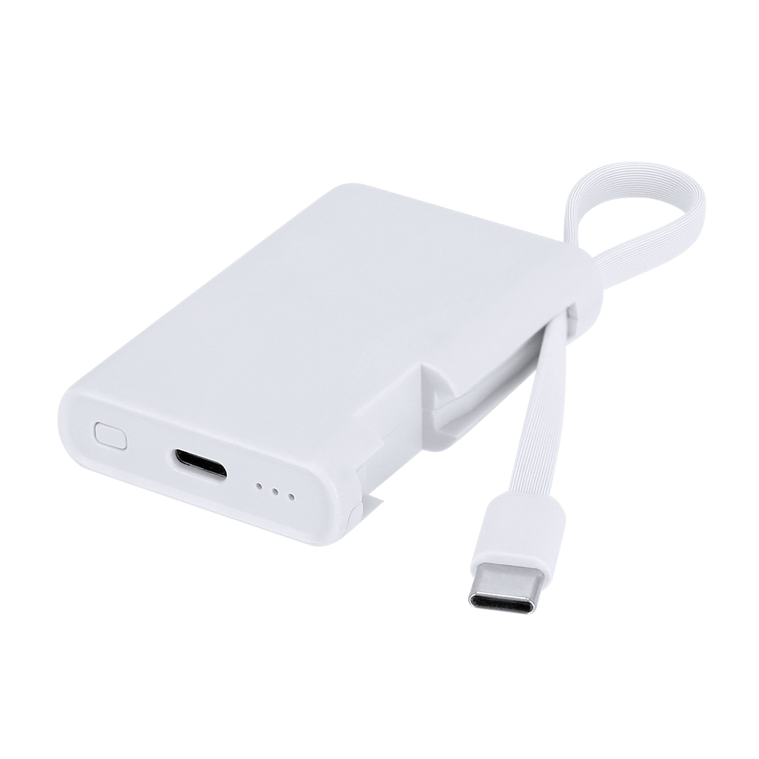 Power Bank Brandin